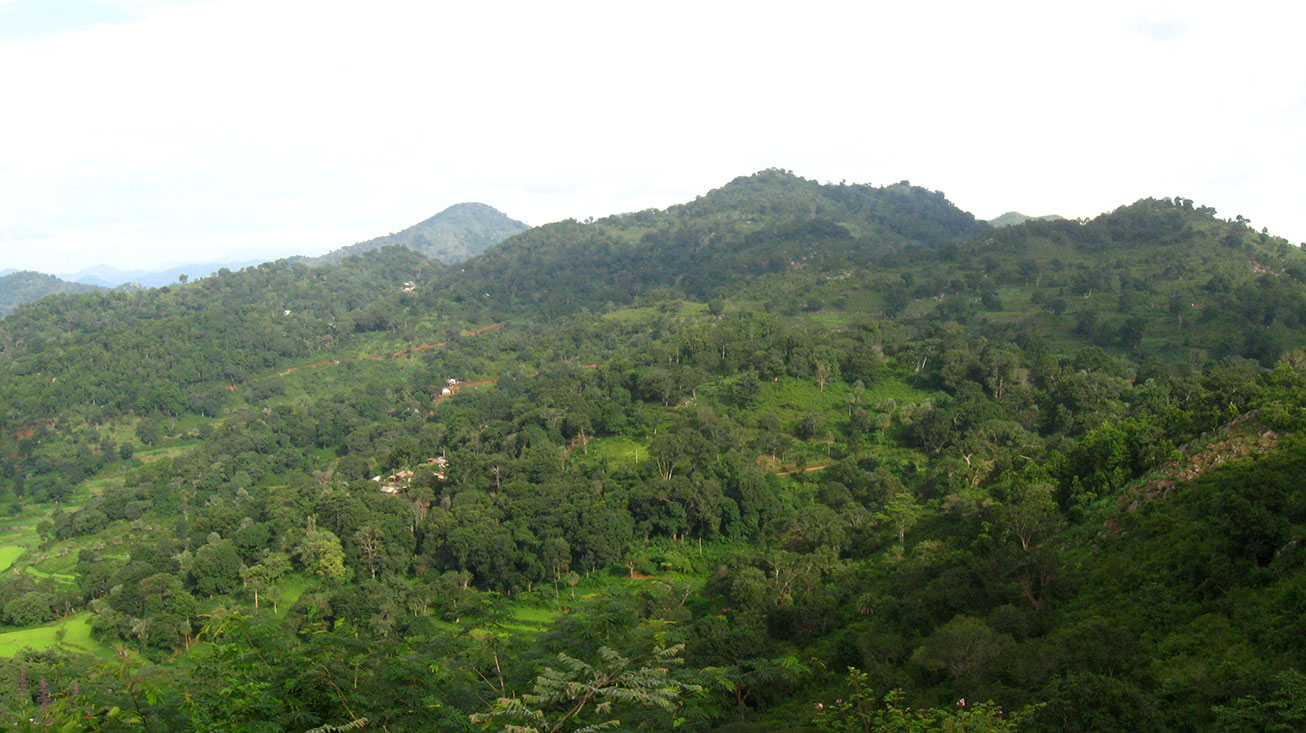 step cultivation of soura tribe of gajapati